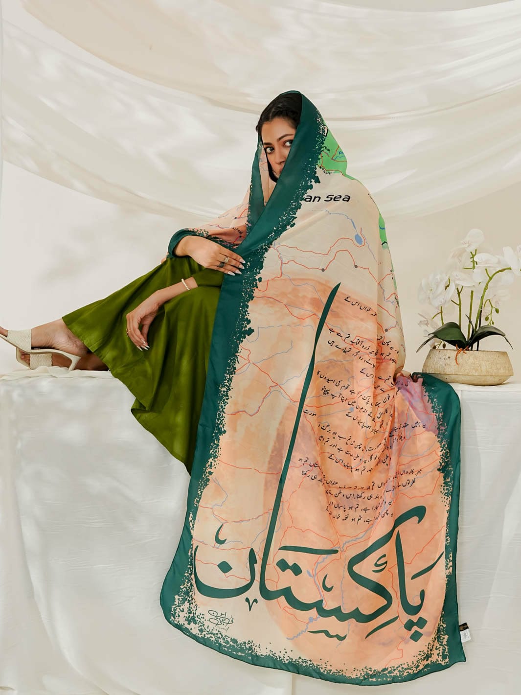 Arze e Pakistan Odhni (SKin )