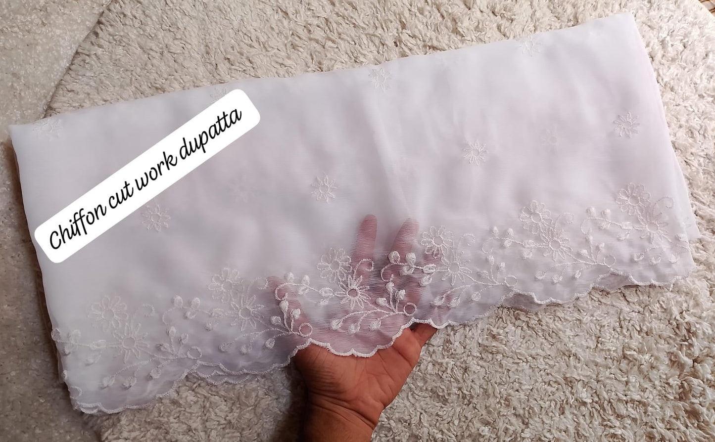 Pure Chiffion Embroidered Dupatta (white)